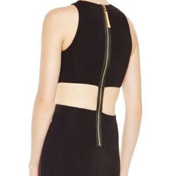 STANDING OVATION for RACHEL ZOE STUNNING SEXY CUT-OUT GESCHE DRESS GOWN 2 - Picture 2 of 10